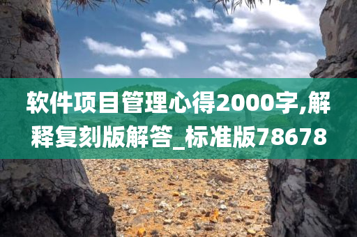 软件项目管理心得2000字,解释复刻版解答_标准版78678