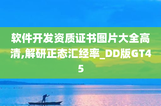 软件开发资质证书图片大全高清,解研正态汇经率_DD版GT45