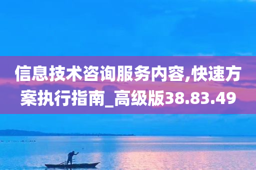 信息技术咨询服务内容,快速方案执行指南_高级版38.83.49