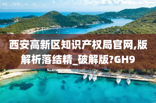 西安高新区知识产权局官网,版解析落结精_破解版?GH9