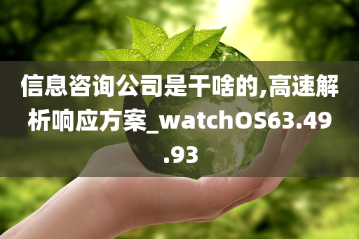 信息咨询公司是干啥的,高速解析响应方案_watchOS63.49.93