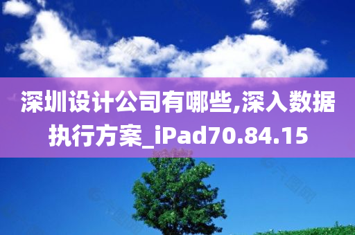 深圳设计公司有哪些,深入数据执行方案_iPad70.84.15