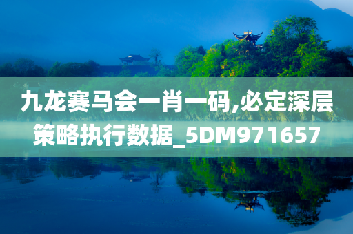 九龙赛马会一肖一码,必定深层策略执行数据_5DM971657