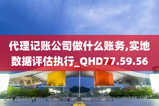 代理记账公司做什么账务,实地数据评估执行_QHD77.59.56