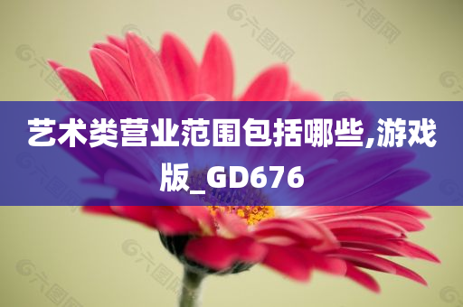 艺术类营业范围包括哪些,游戏版_GD676