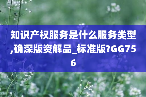 知识产权服务是什么服务类型,确深版资解品_标准版?GG756