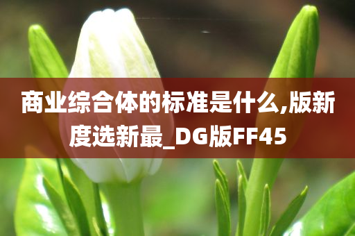 商业综合体的标准是什么,版新度选新最_DG版FF45