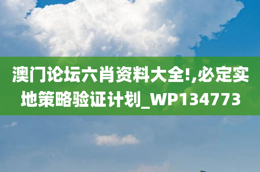 澳门论坛六肖资料大全!,必定实地策略验证计划_WP134773