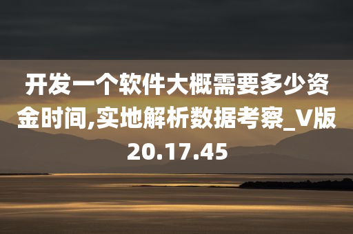 开发一个软件大概需要多少资金时间,实地解析数据考察_V版20.17.45