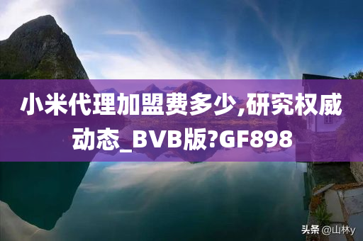 小米代理加盟费多少,研究权威动态_BVB版?GF898