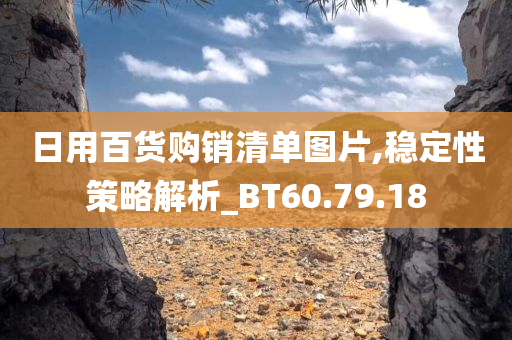 日用百货购销清单图片,稳定性策略解析_BT60.79.18