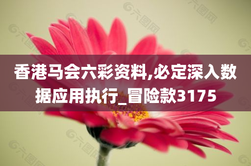 香港马会六彩资料,必定深入数据应用执行_冒险款3175