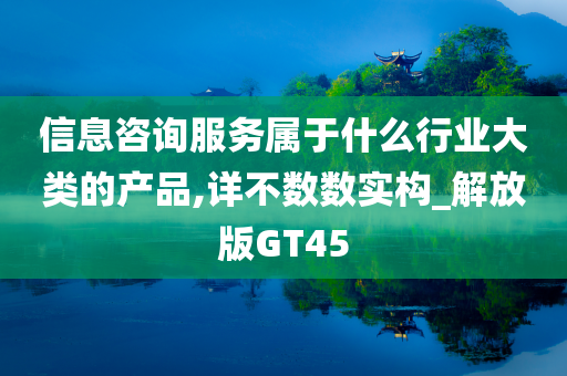 信息咨询服务属于什么行业大类的产品,详不数数实构_解放版GT45