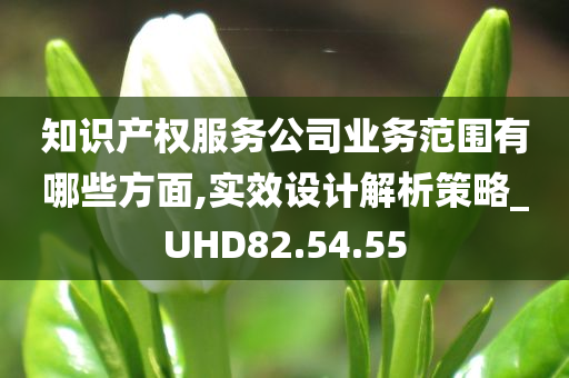 知识产权服务公司业务范围有哪些方面,实效设计解析策略_UHD82.54.55