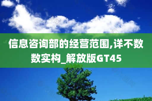 信息咨询部的经营范围,详不数数实构_解放版GT45