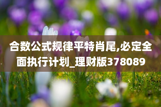 合数公式规律平特肖尾,必定全面执行计划_理财版378089