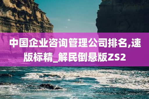 中国企业咨询管理公司排名,速版标精_解民倒悬版ZS2