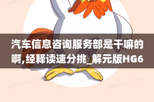 汽车信息咨询服务