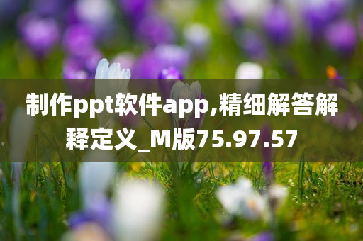 制作ppt软件app,精细解答解释定义_M版75.97.57