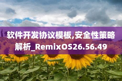 软件开发协议模板,安全性策略解析_RemixOS26.56.49