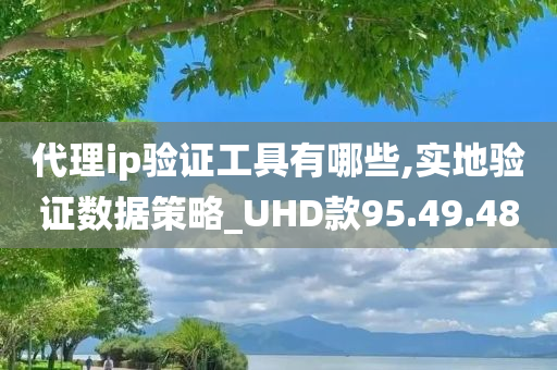 代理ip验证工具有哪些,实地验证数据策略_UHD款95.49.48