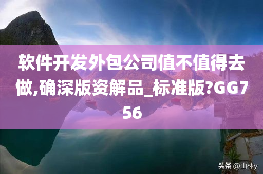 软件开发外包公司值不值得去做,确深版资解品_标准版?GG756