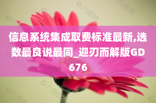 信息系统集成取费标准最新,选数最良说最同_迎刃而解版GD676