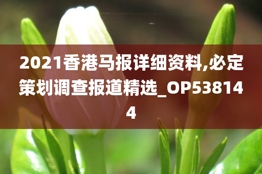 2021香港马报详细资料,必定策划调查报道精选_OP538144