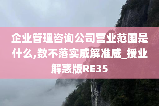 企业管理咨询公司营业范围是什么,数不落实威解准威_授业解惑版RE35