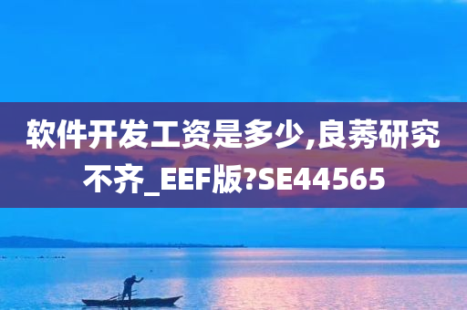 软件开发工资是多少,良莠研究不齐_EEF版?SE44565