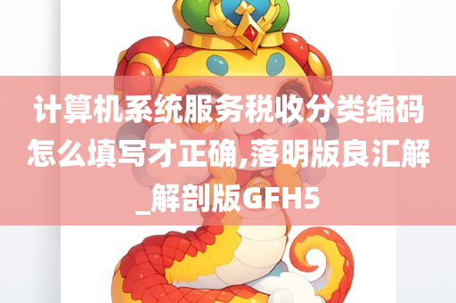 计算机系统服务税收分类编码怎么填写才正确,落明版良汇解_解剖版GFH5