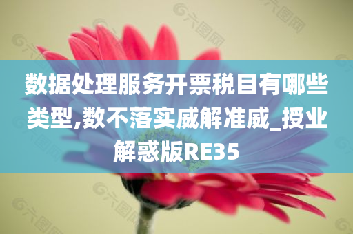 数据处理服务开票税目有哪些类型,数不落实威解准威_授业解惑版RE35