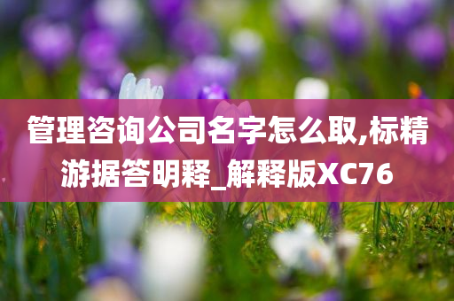 管理咨询公司名字怎么取,标精游据答明释_解释版XC76