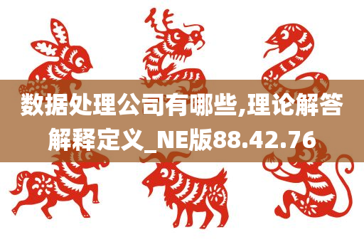 数据处理公司有哪些,理论解答解释定义_NE版88.42.76