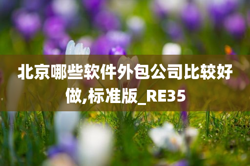 北京哪些软件外包公司比较好做,标准版_RE35