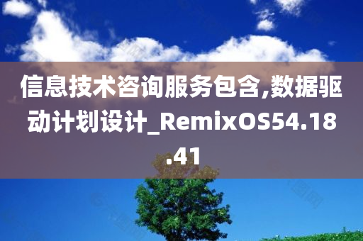 信息技术咨询服务包含,数据驱动计划设计_RemixOS54.18.41