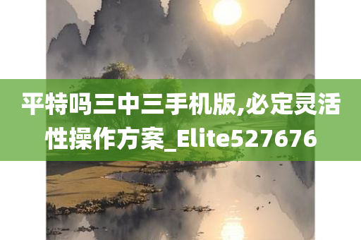 平特吗三中三手机版,必定灵活性操作方案_Elite527676