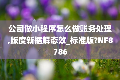 公司做小程序怎么做账务处理,版度新据解态效_标准版?NF8786