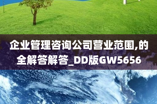 企业管理咨询公司营业范围,的全解答解答_DD版GW5656