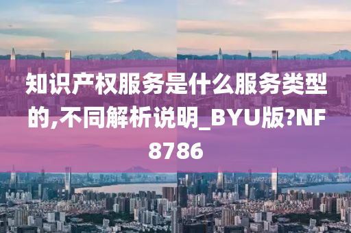 知识产权服务是什么服务类型的,不同解析说明_BYU版?NF8786