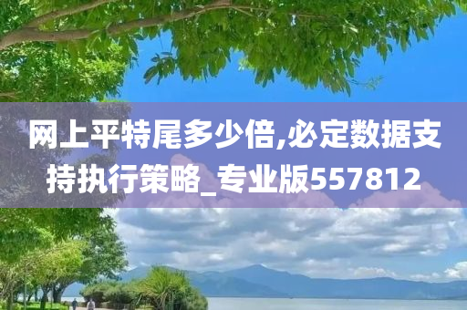 网上平特尾多少倍,必定数据支持执行策略_专业版557812