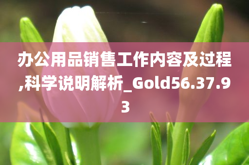 办公用品销售工作内容及过程,科学说明解析_Gold56.37.93