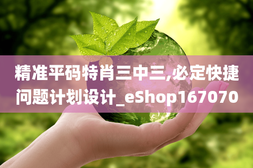 精准平码特肖三中三,必定快捷问题计划设计_eShop167070