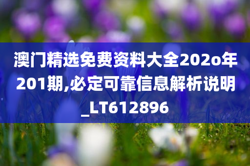 澳门精选免费资料大全202o年201期,必定可靠信息解析说明_LT612896