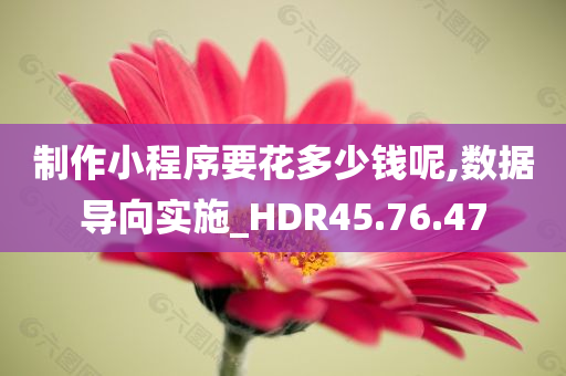 制作小程序要花多少钱呢,数据导向实施_HDR45.76.47