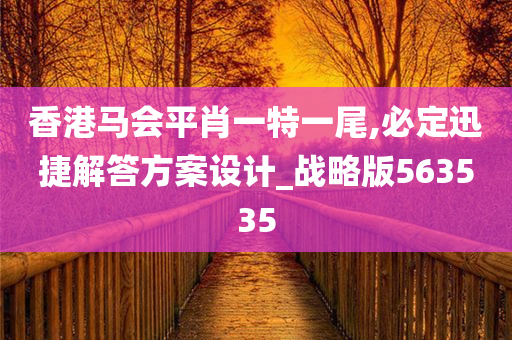 香港马会平肖一特一尾,必定迅捷解答方案设计_战略版563535