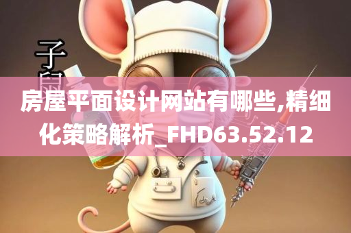 房屋平面设计网站有哪些,精细化策略解析_FHD63.52.12