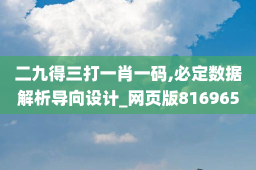 二九得三打一肖一码,必定数据解析导向设计_网页版816965