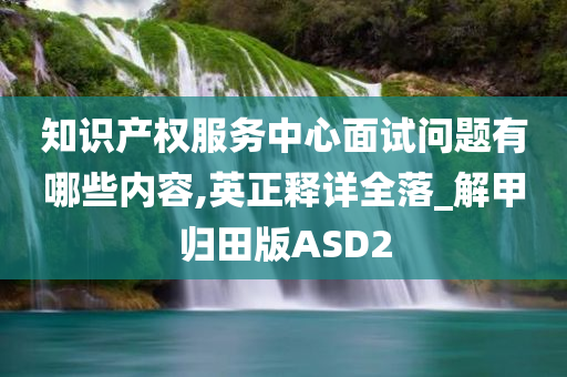 知识产权服务中心面试问题有哪些内容,英正释详全落_解甲归田版ASD2