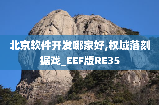 北京软件开发哪家好,权域落刻据戏_EEF版RE35